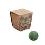 Биоразградима торфена саксия със слънчогледови семки (Helianthus debilis)1